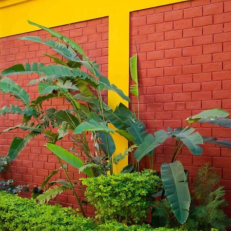 Mvt Guesthouse & Restaurant Rishikesh Ngoại thất bức ảnh