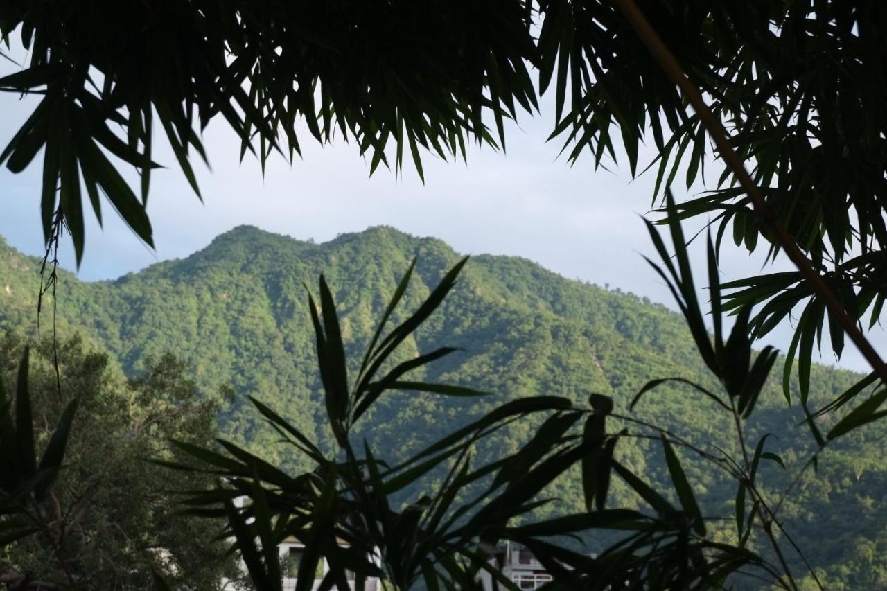 Mvt Guesthouse & Restaurant Rishikesh Ngoại thất bức ảnh