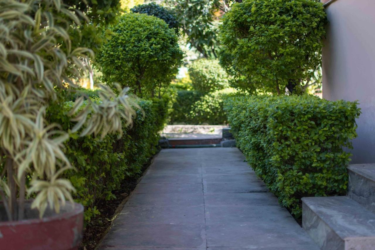 Mvt Guesthouse & Restaurant Rishikesh Ngoại thất bức ảnh