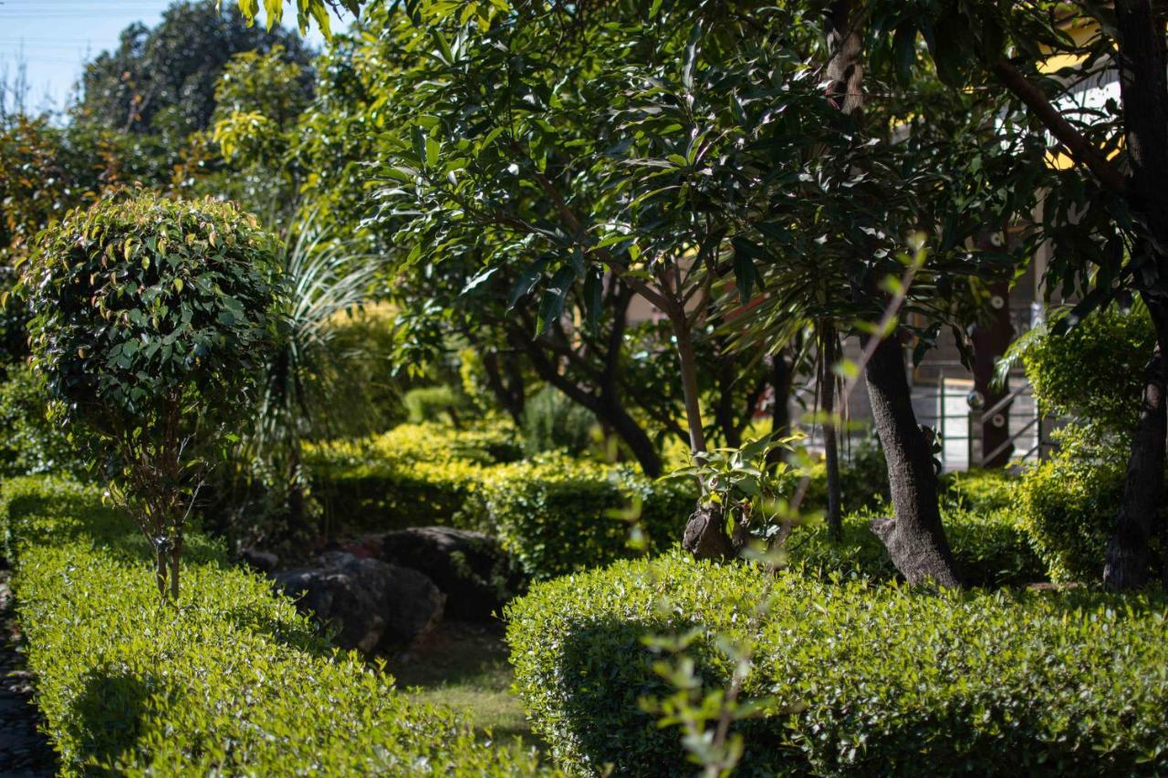 Mvt Guesthouse & Restaurant Rishikesh Ngoại thất bức ảnh